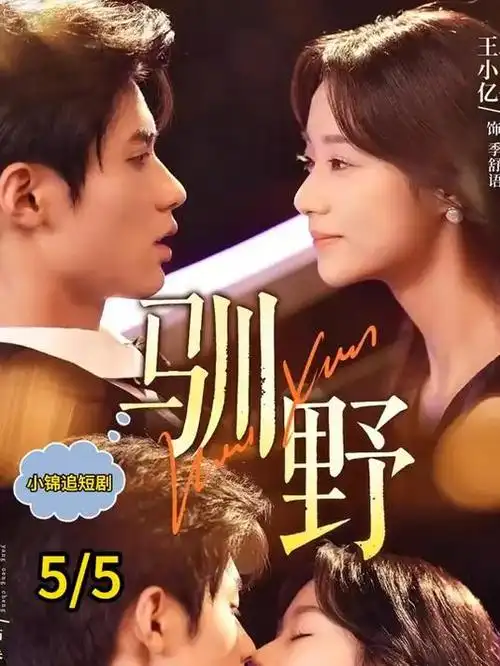 半岛来信 韩剧全集手机在线观看